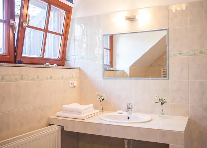 Rezidence Plesivec - Rodinny S 3 Loznicemi Accommodatie bij particulieren Český Krumlov
